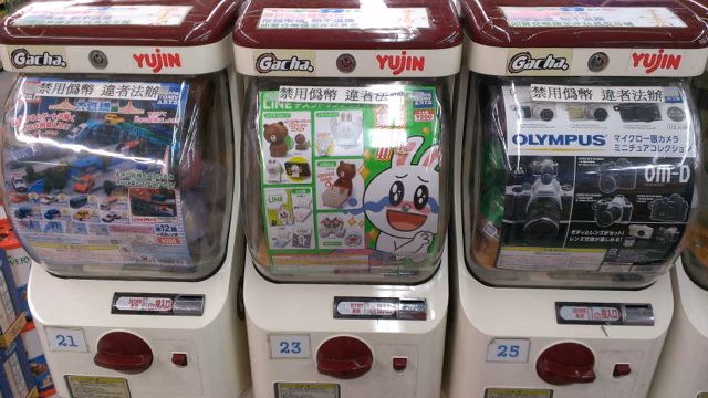 IMAG8286